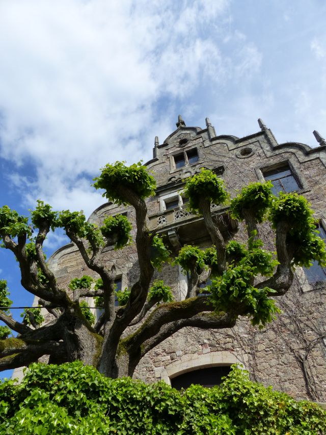 Altenstein Schloss (18)