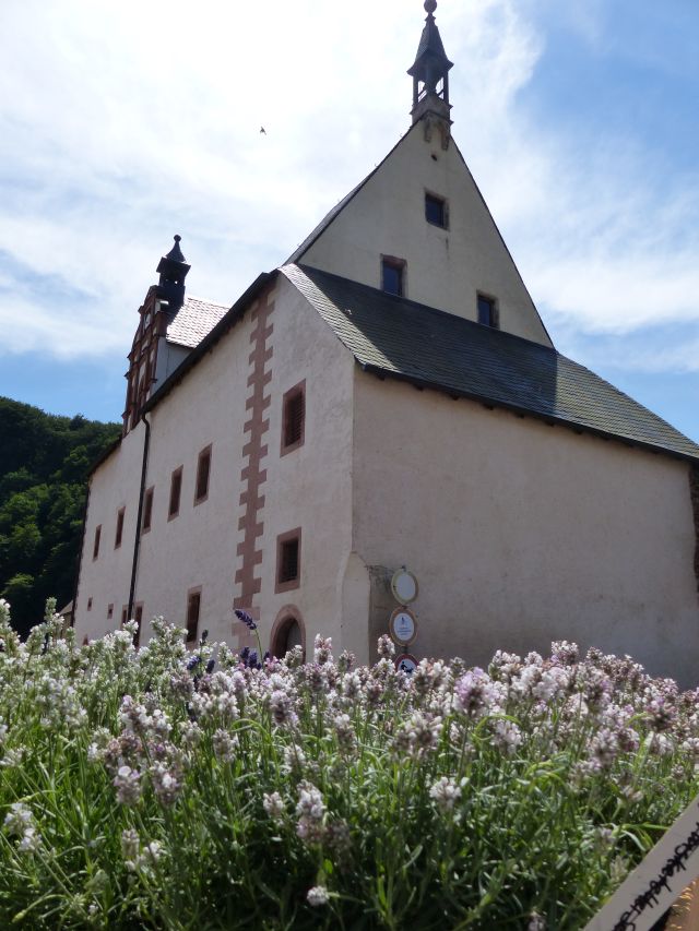 Leisnig Kloster Buch (10)