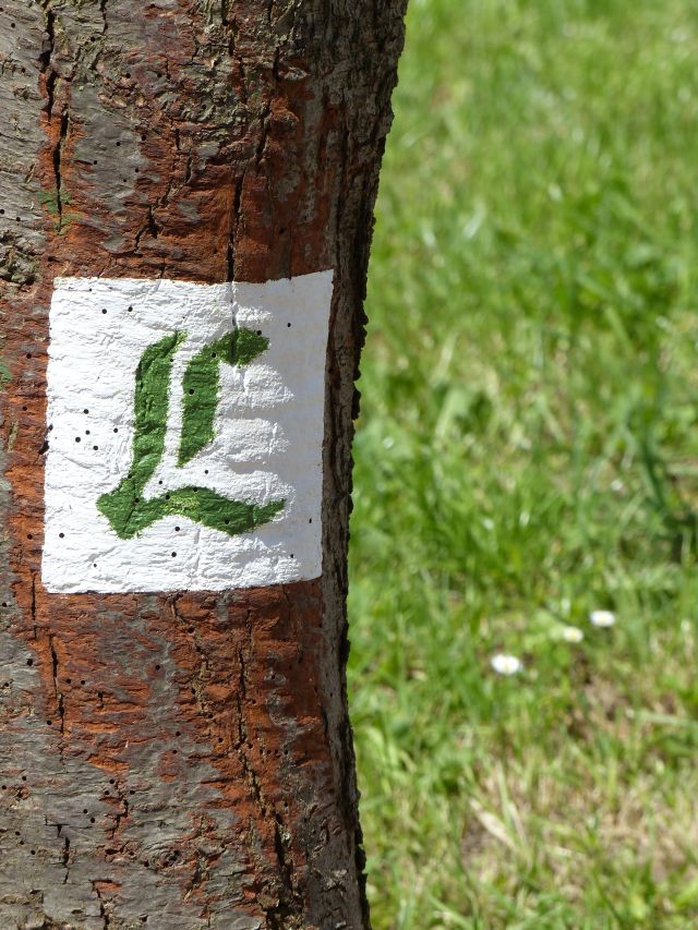 Lutherweg (4)
