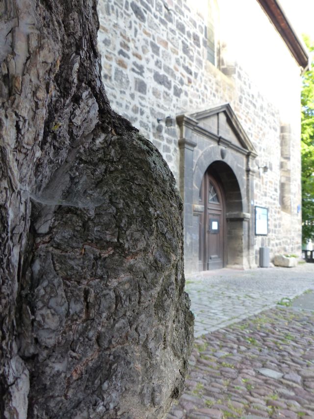 Arnstadt Bachkirche (5)